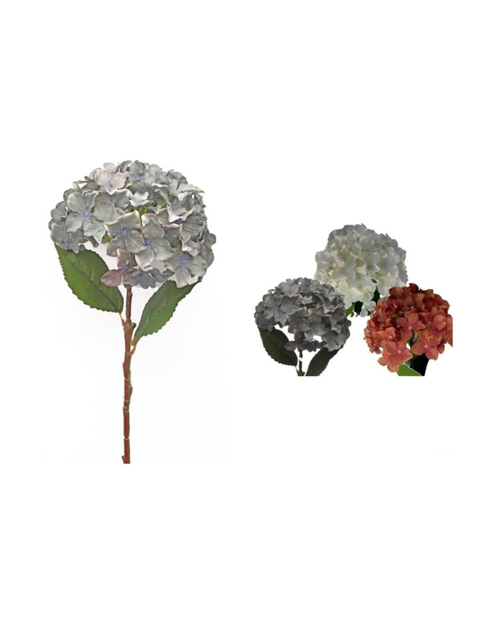 VARA HORTENSIA AUTUMN