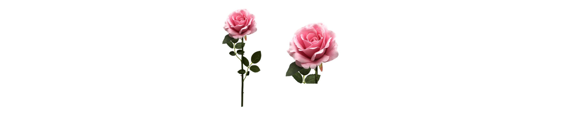 VARA ROSAL 75CM CREMA