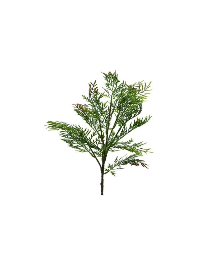 HOJA DE ESPADA DE 81CM