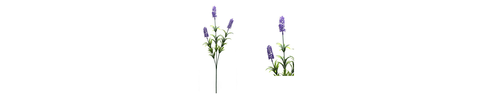 VARA LAVANDA