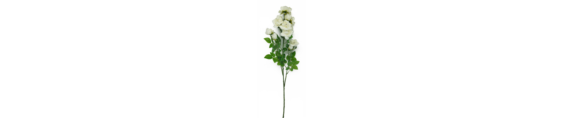 VARA ROSAS SILVESTRES 70CM COLOR BLANCO