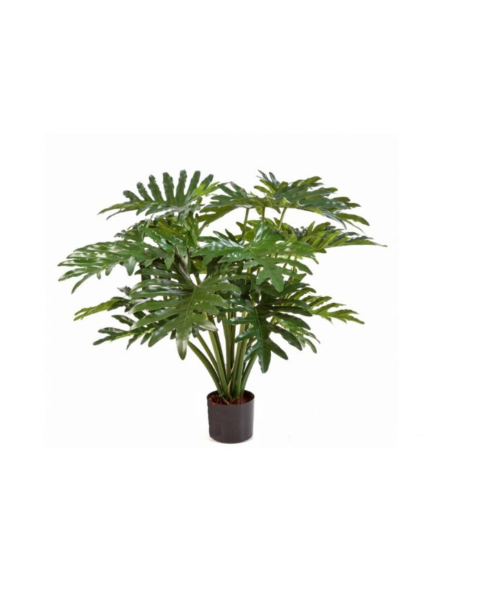 PLANTA PHILODENDRO 90CM