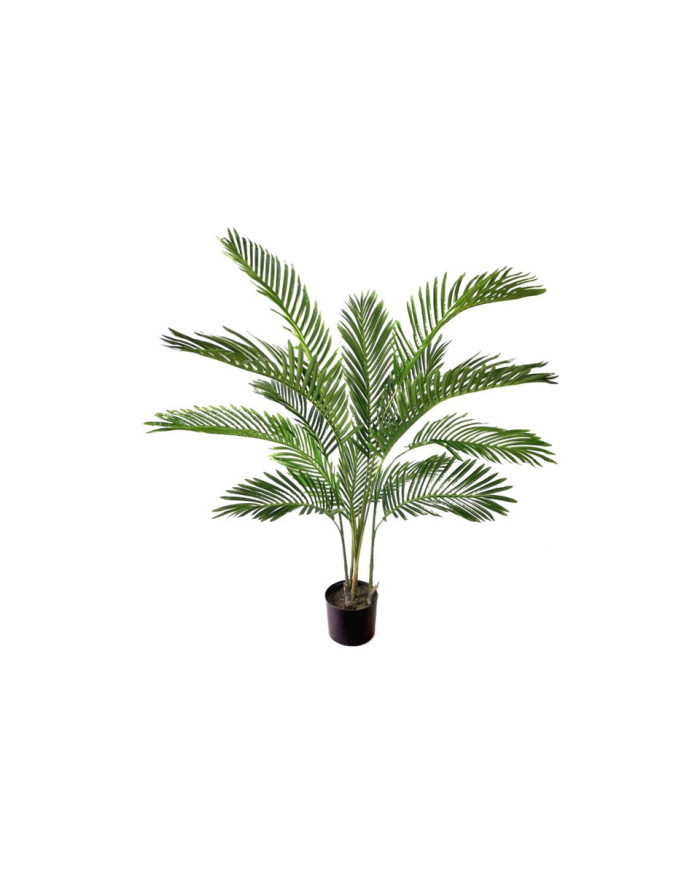 PALMERA ARECA 120 CMTS