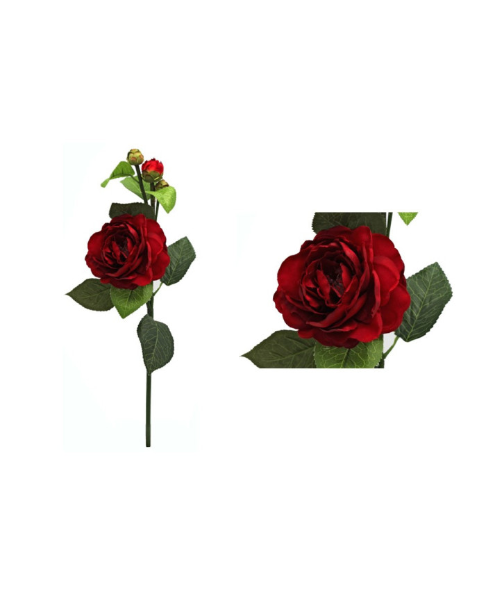 ROSAL X4 ROJO