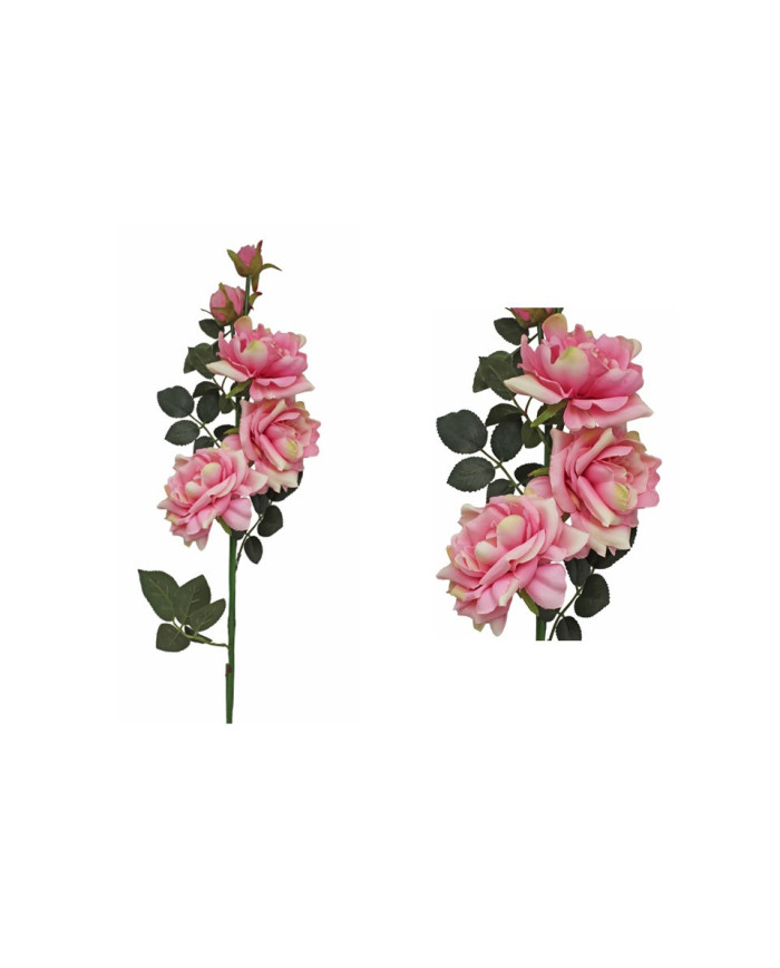 ROSAL X5 ROSA