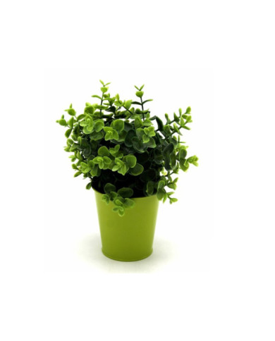 PLANTA BOJ EN MACETA METAL VERDE