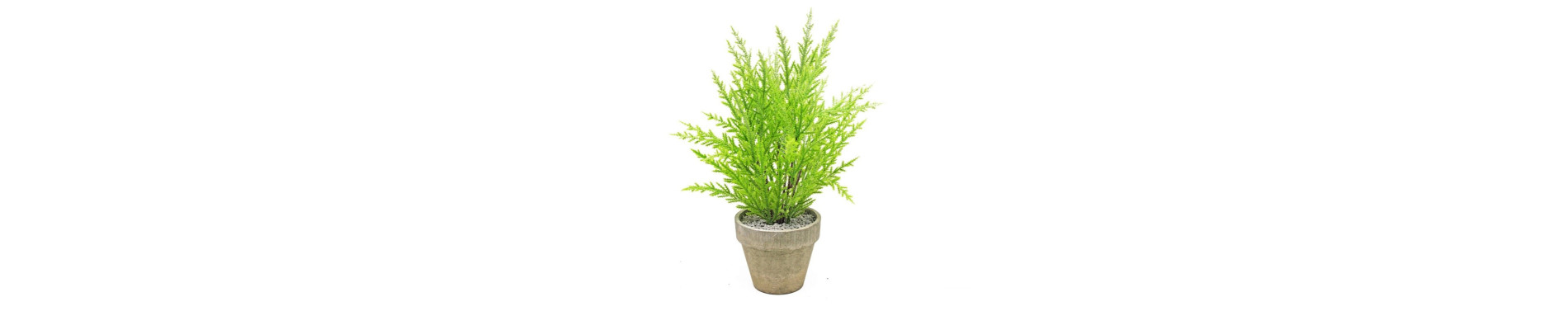 MACETA BLANCA DECORADA CON JUNCOS DE 17CM H
