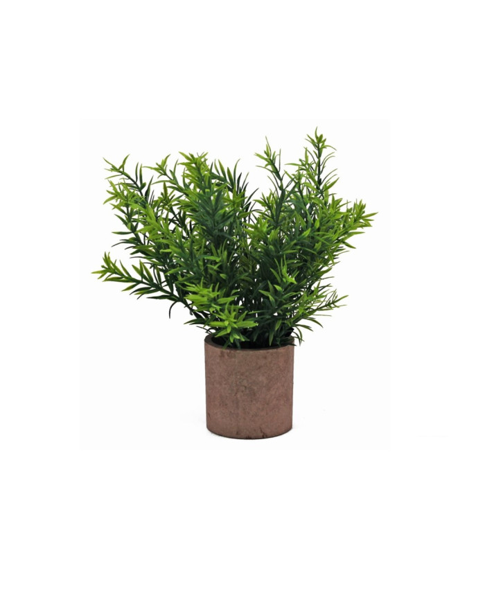 MACETA CON PLANTA VERDE DE 25CM H