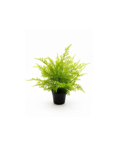 PLANTA HELECHO SILVESTRE 40 CM