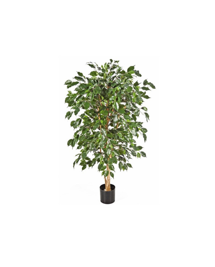 ARBOL FICUS VERDE 150CM
