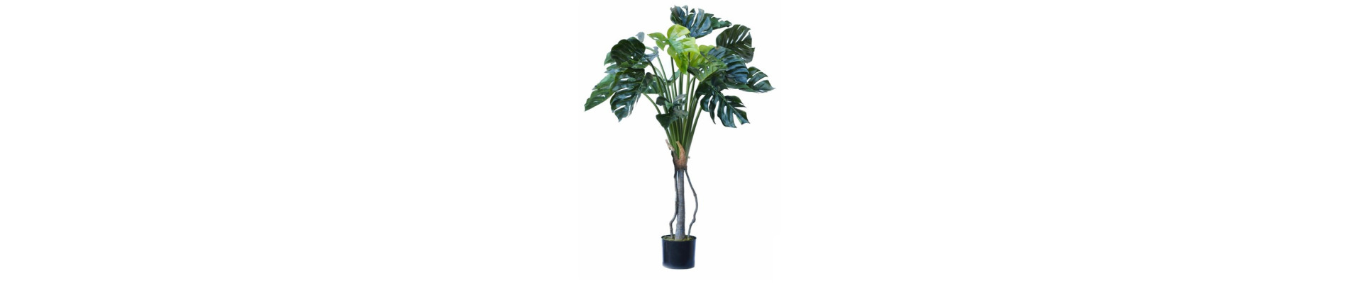 ARBOL CARLOTI 150CM