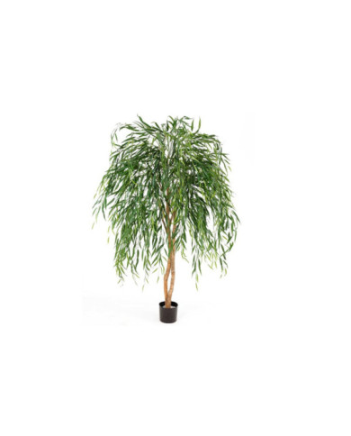 ARBOL SAUCE LLORON 112X220H