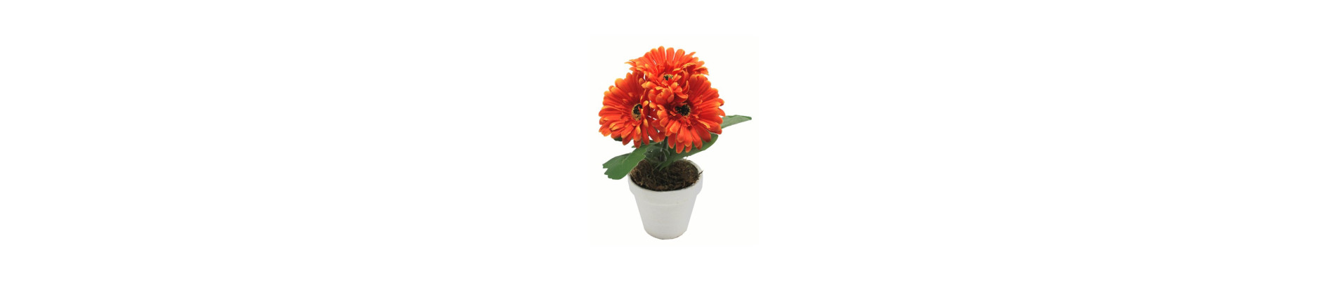 MACETA GERBERA NARANJA 28 CM