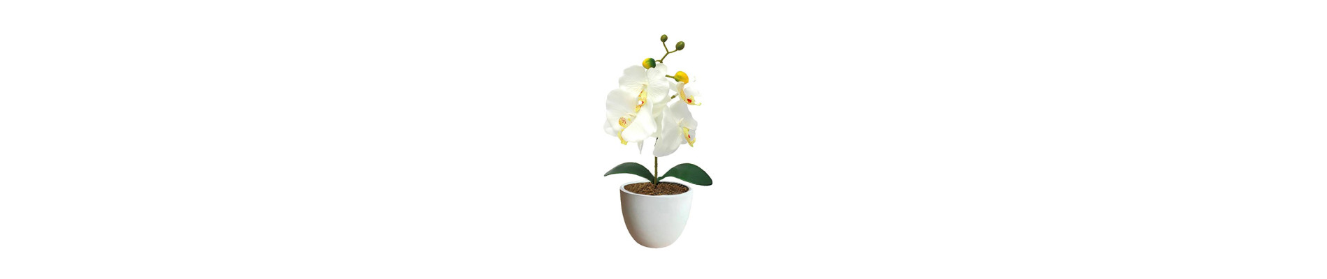 MACETA MARGARITAS BLANCAS DE 16CM