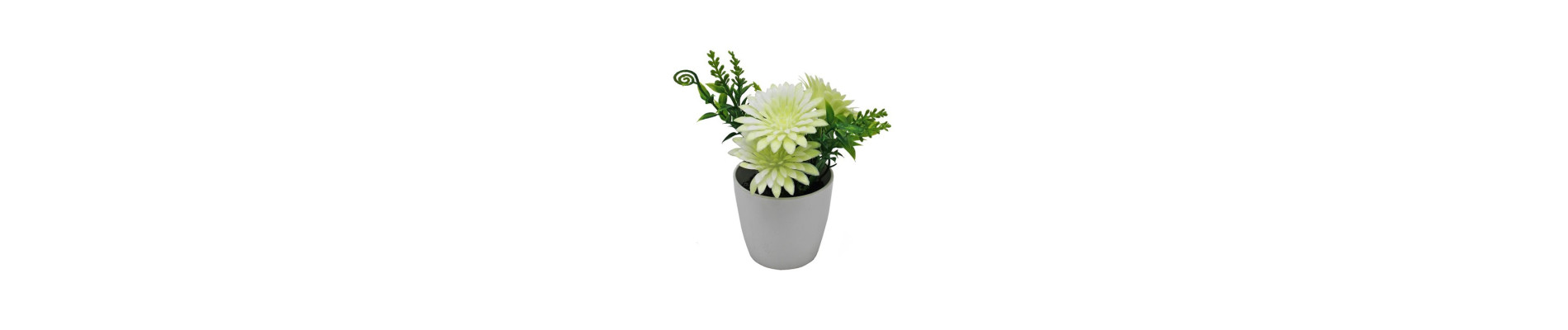MACETA MARGARITAS BLANCAS DE 16CM