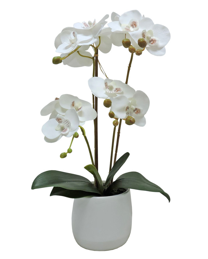 MACETA PHALENOPSIS 41CM