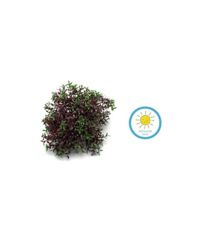 COLGANTE SILVESTRE GRANATE 16CM