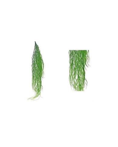 COLGANTE ALGAS SILVESTRES 93CM VERDE