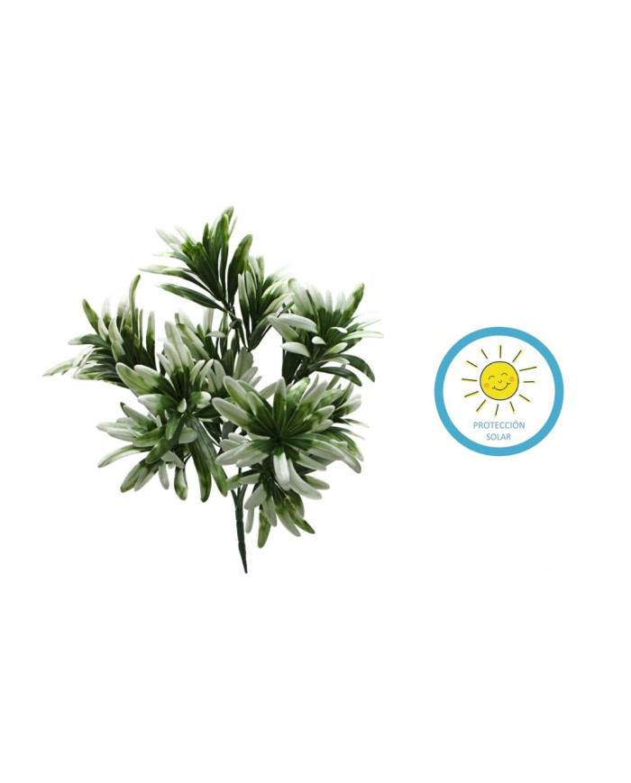 COLGANTE BROMELIA BLANCO 30CM PARA EXTERIOR
