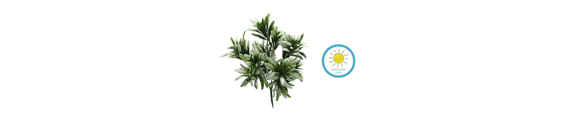 COLGANTE BROMELIA BLANCO 30CM PARA EXTERIOR