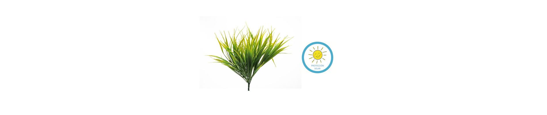 COLGANTE BROMELIA BLANCO 30CM PARA EXTERIOR