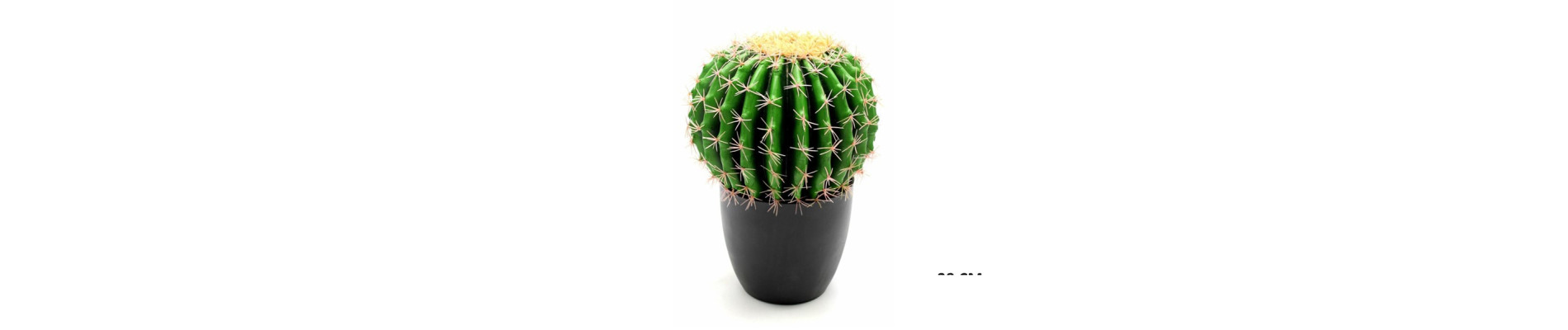 CACTUS CACTACAE H 60CM