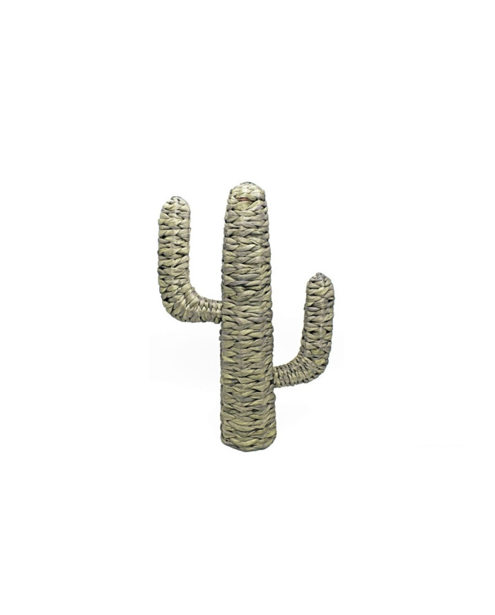 CACTUS RAFIA 51X16X73H NATURAL