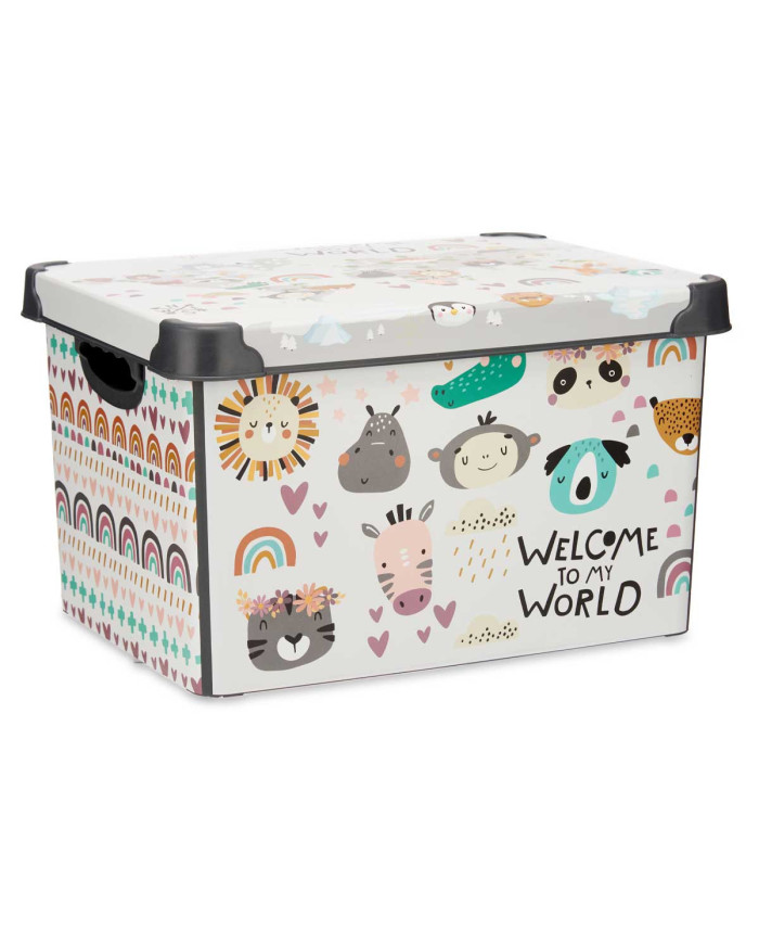 CAJA PLASTICO 22L WORLD CON ASA