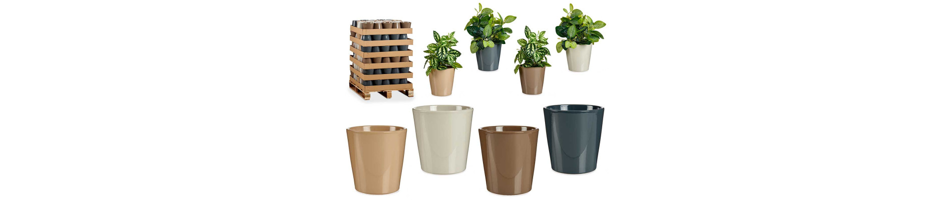 MACETA CERAMICA CONICA 17CM SURT 4 COL CLAROS