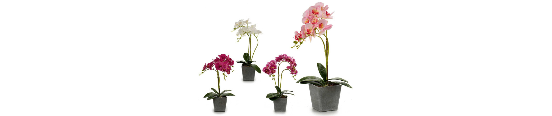 ORQUIDEA MACETA CUADR GRIS 50CM SUR 4COL