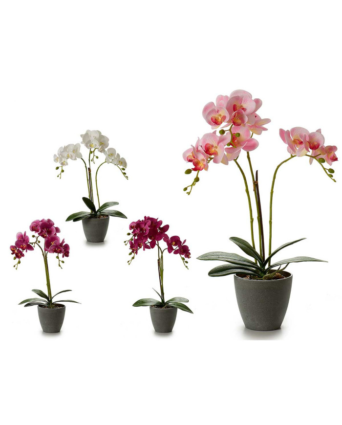 ORQUIDEA MACETA CONICA GRIS 48CM SUR 4CL