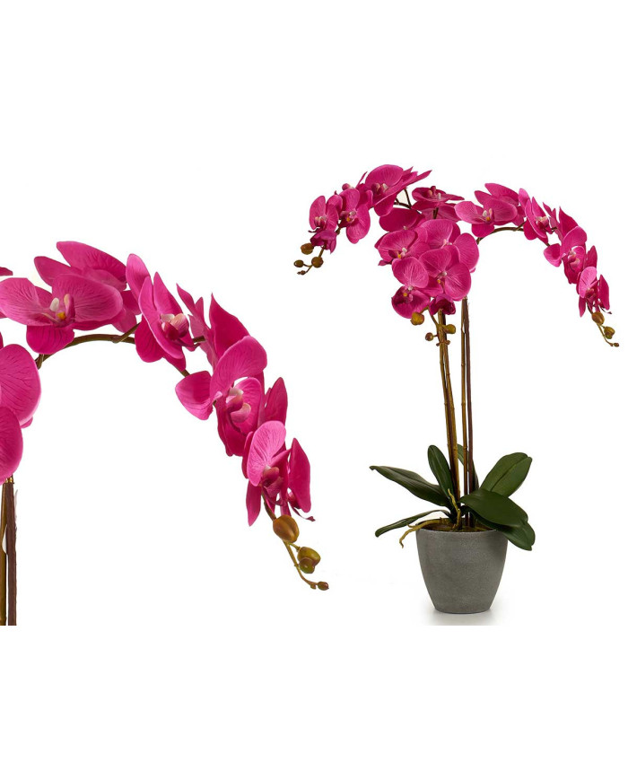 ORQUIDEA FUCSIA MACETA CONICA GRIS JUMBO