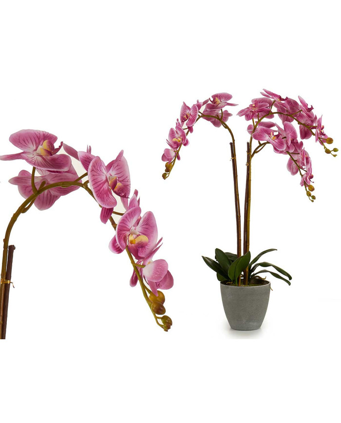 ORQUIDEA LILA MACETA CONICA GRIS JUMBO