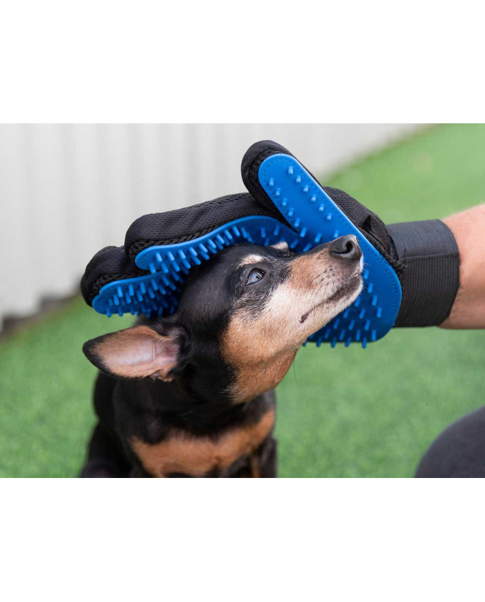 SET CUIDADO PARA MASCOTAS 6PCS