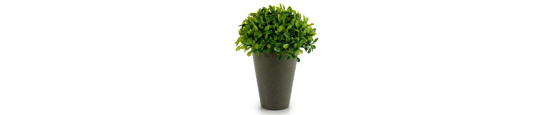 MACETA PLANTA HOJA ONDULADA 3 COL SURT