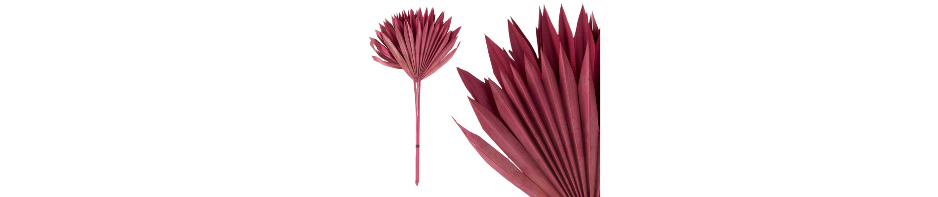 HOJA PALMERA 3 PCS FUCSIA ROSA
