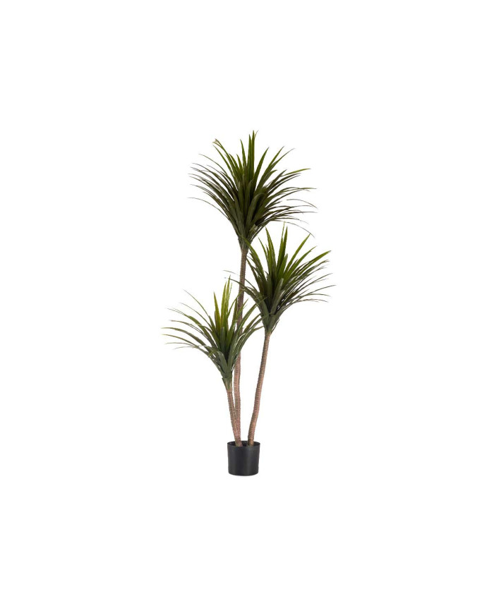 PLANTA CON MACETA HOJA ESTRECHA GRANDE 200CM