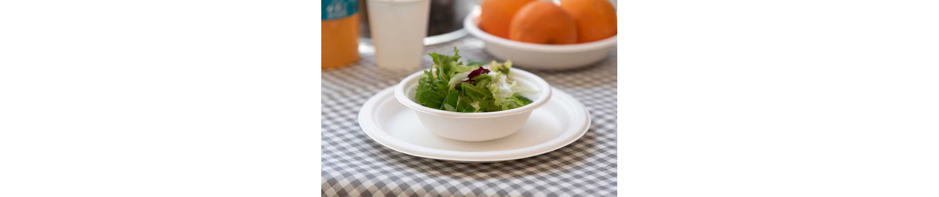 SET 10 PLATOS LLANOS 17,2CM COMPOSTABLES