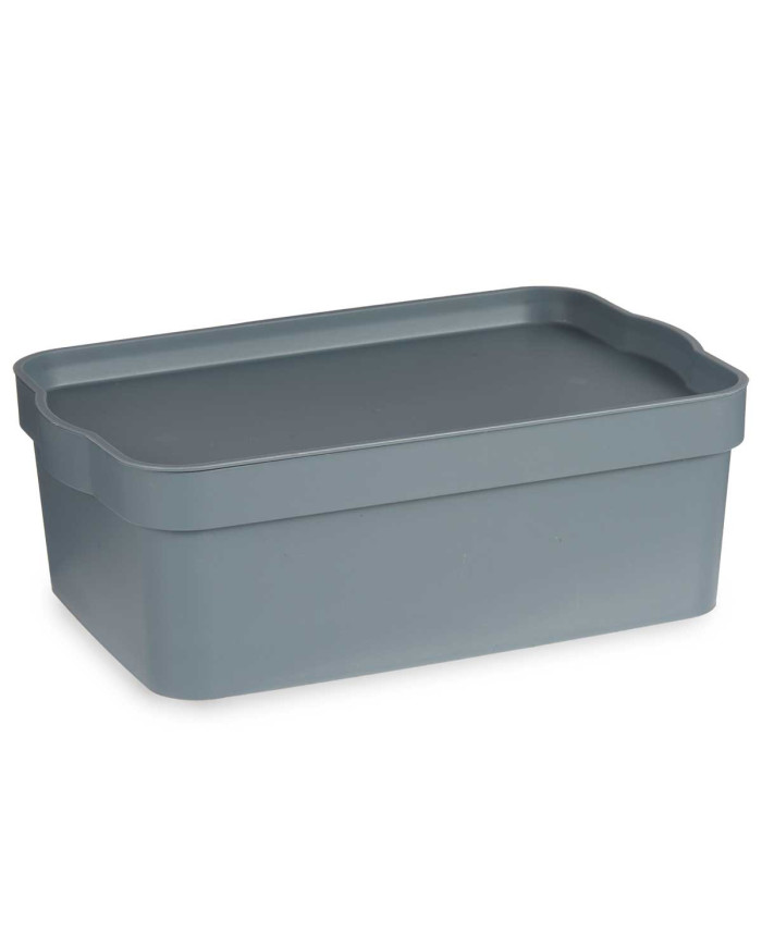 CAJA PLASTICO CON TAPA 6L GRIS