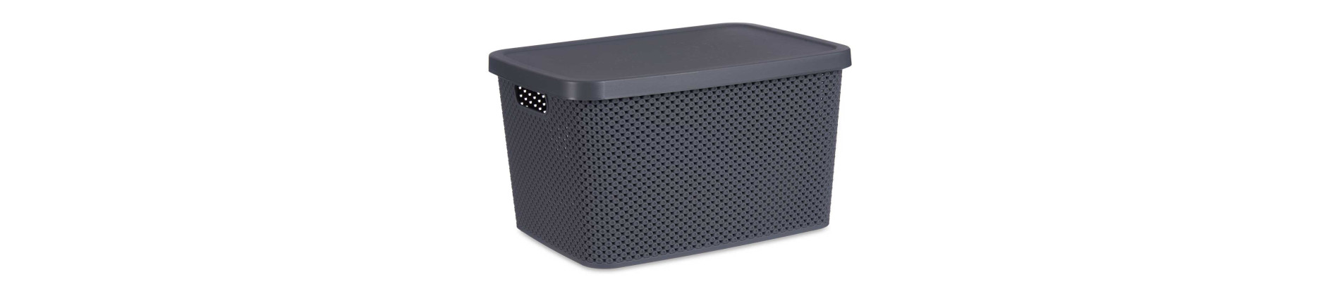 CAJA ORGANIZADOR PLASTICO 19L C TAPA ANTRACITA