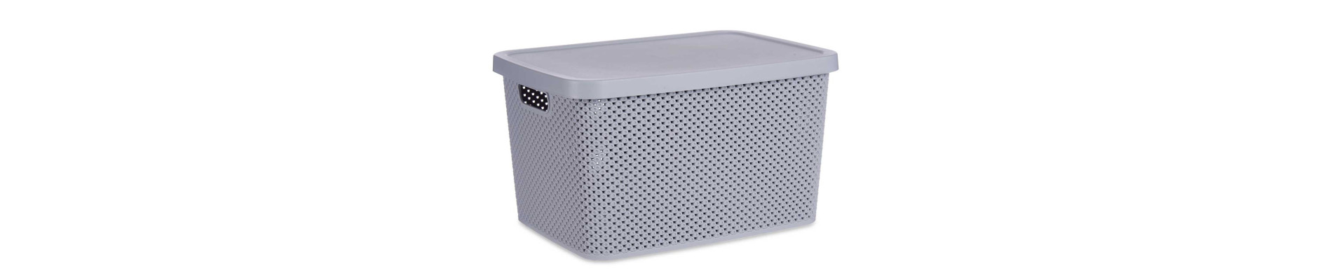 CAJA ORGANIZADOR PLASTICO 19L C TAPA GRIS