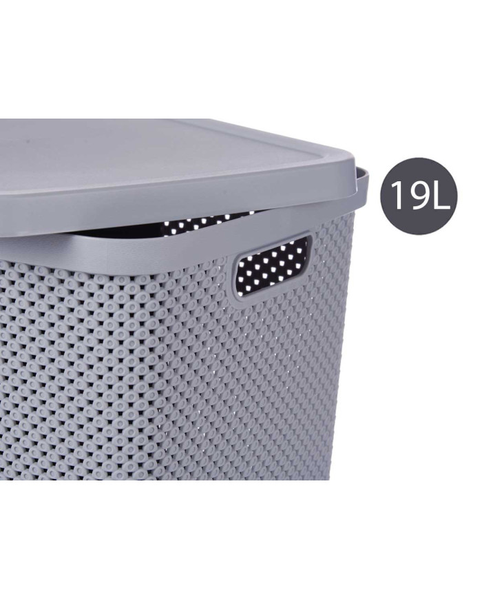 CAJA ORGANIZADOR PLASTICO 19L C TAPA GRIS