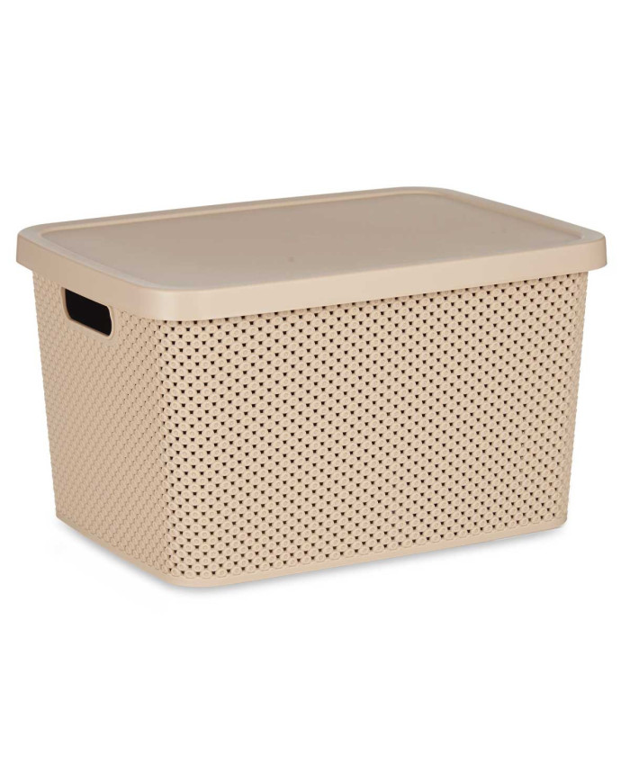CAJA ORGANIZADOR PLASTICO 19L C TAPA BEIGE