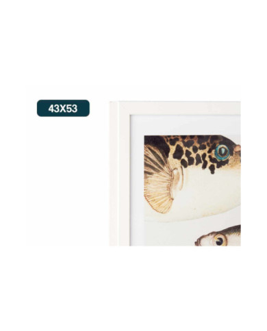 CUADRO PEZ MOLDURA BLANCO SURT 2
