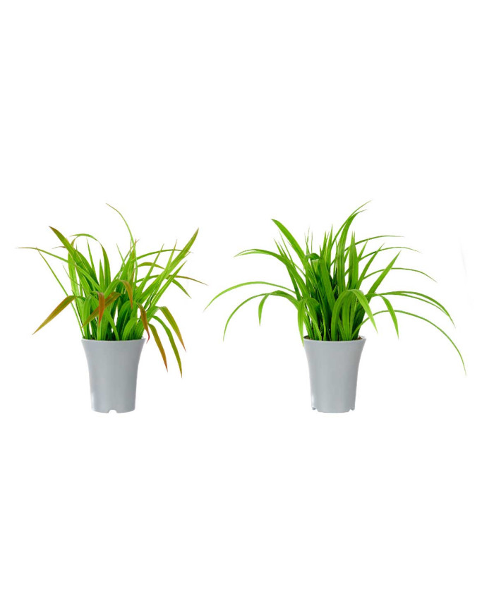 MACETA ALTA PLANTAS HOJAS SURT 2