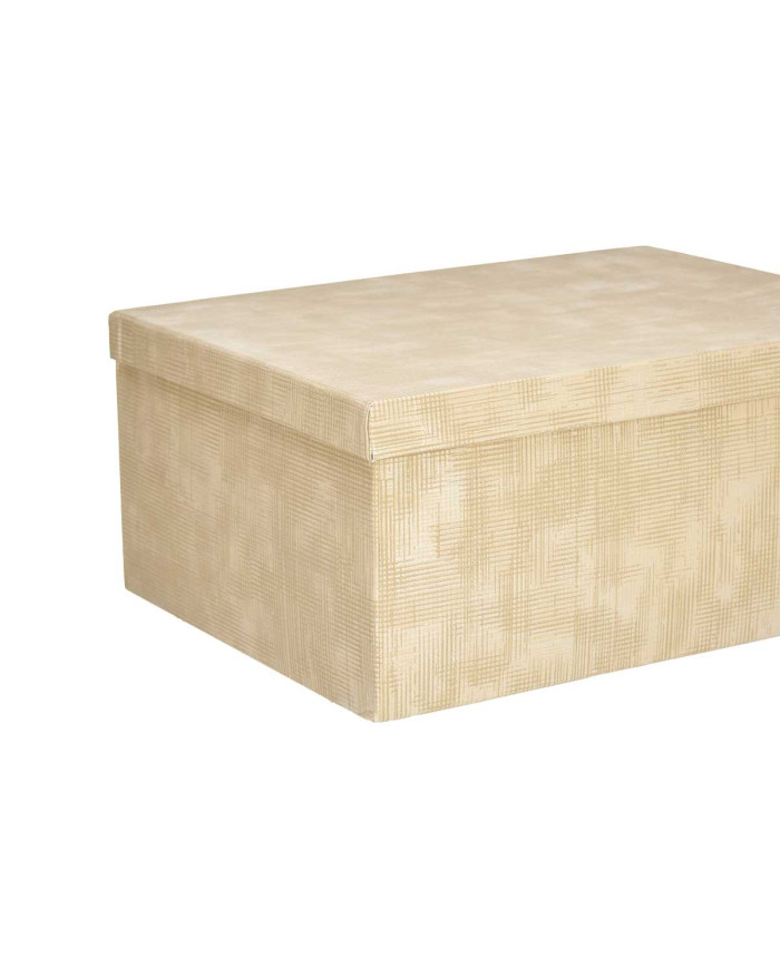 SET 10 CAJAS CARTON RECTANGULAR NATURAL RAYAS