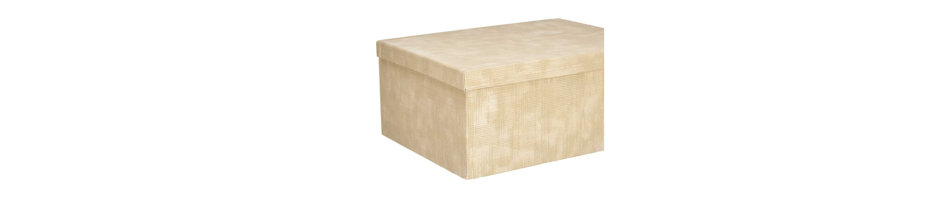 SET 10 CAJAS CARTON RECTANGULAR NATURAL RAYAS