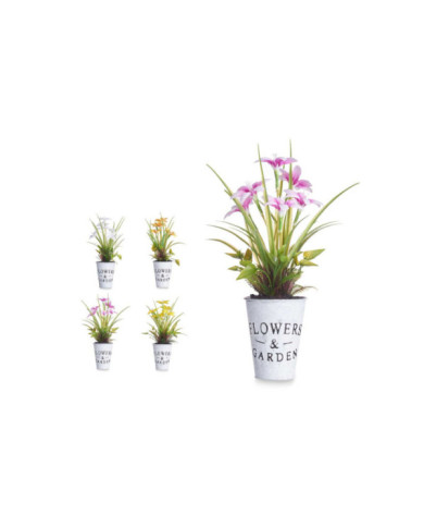 PLANTA FLOR ABIERTA PEQ BOTE METAL SURT 4