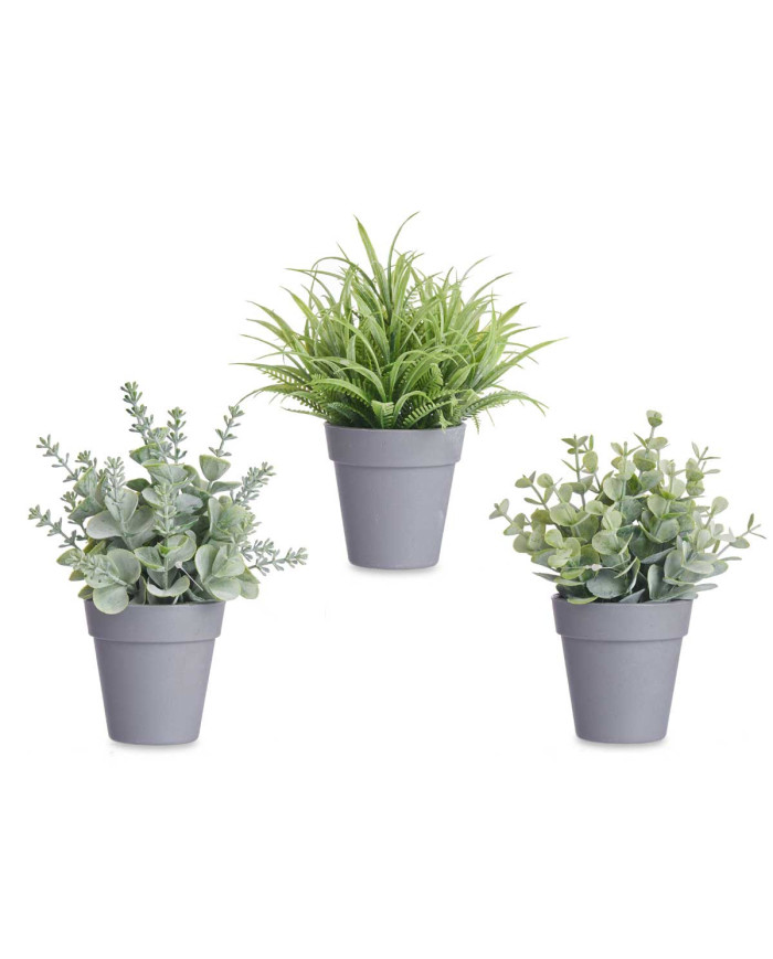 MACETA PLANTA VERDE SURT 3