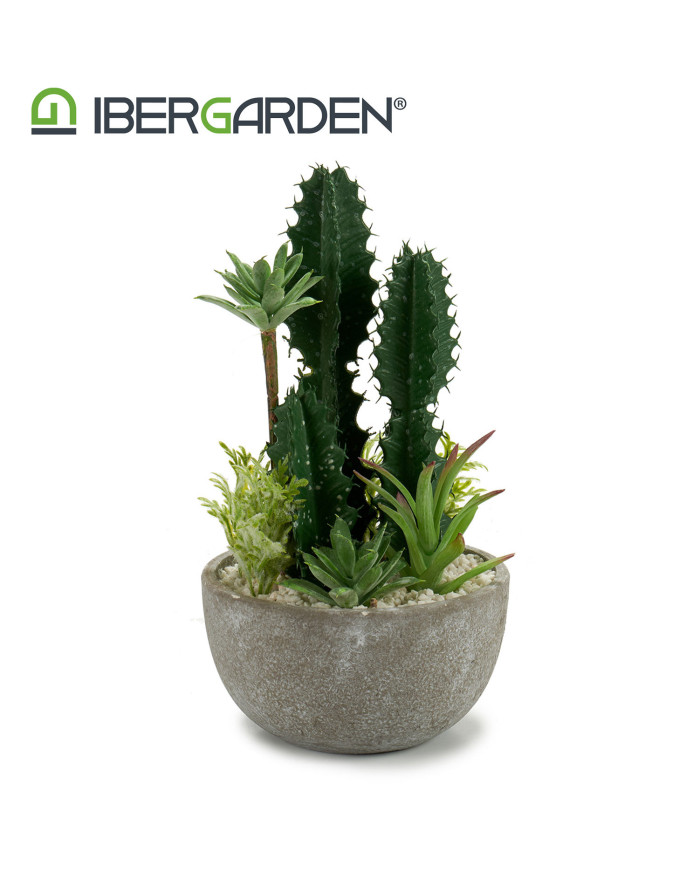 CENTRO CACTUS REDONDO SURTIDO 2